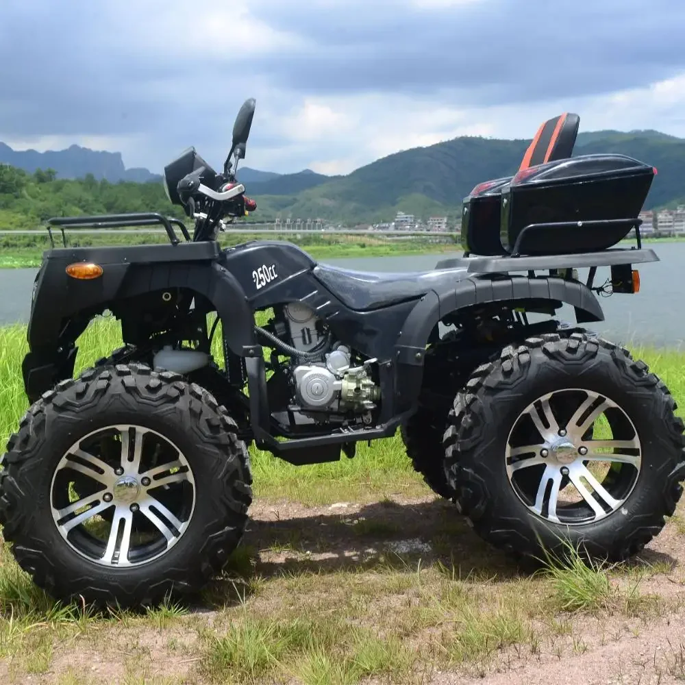 Latest Automatic 250cc Quad ATV Shaft Drive Quad Bike ATV 250cc Adult