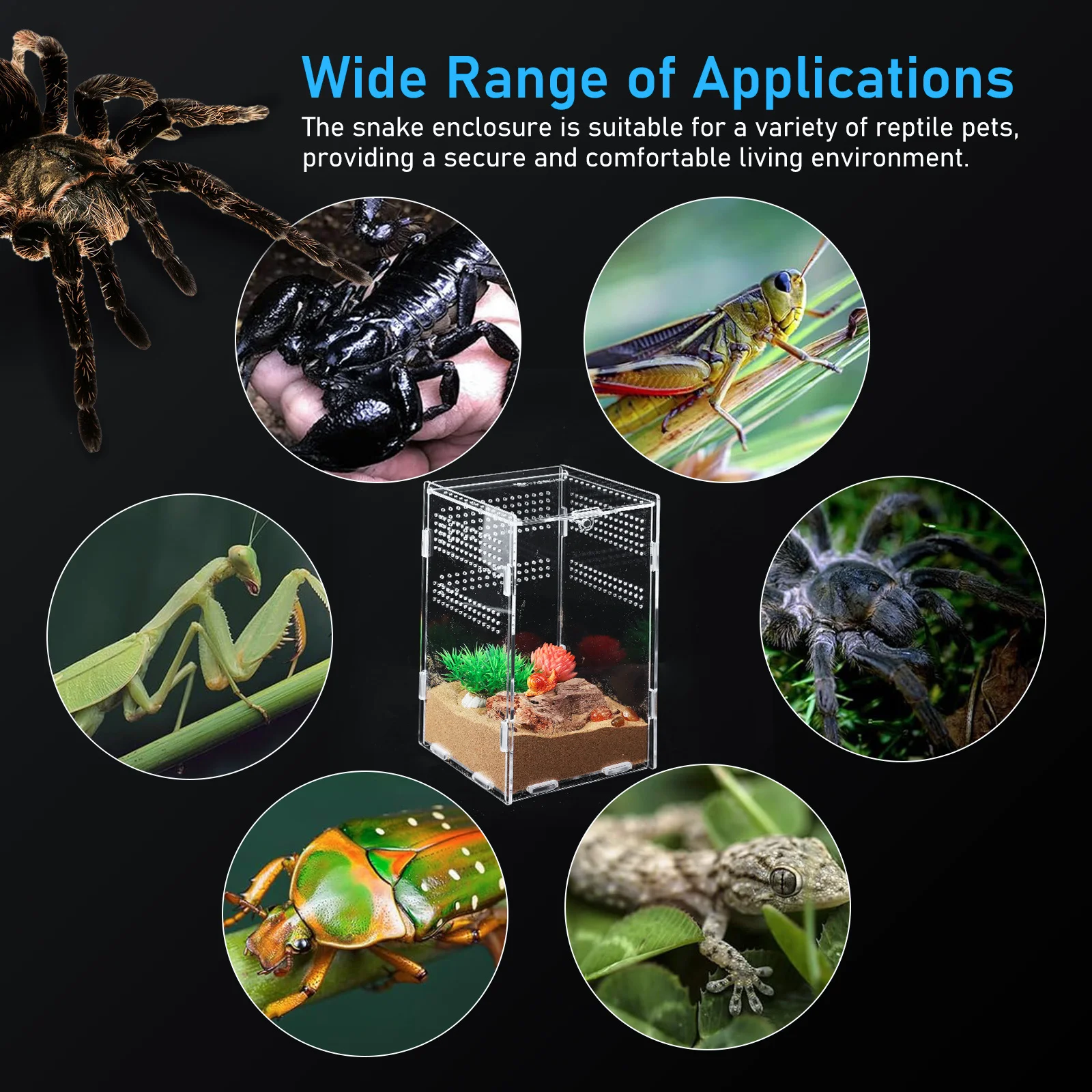 

Reptile Feeding Box Transparent Acrylic Enclosure Easy Assembly Spider Tarantula Stick Insect Lizard Terrarium