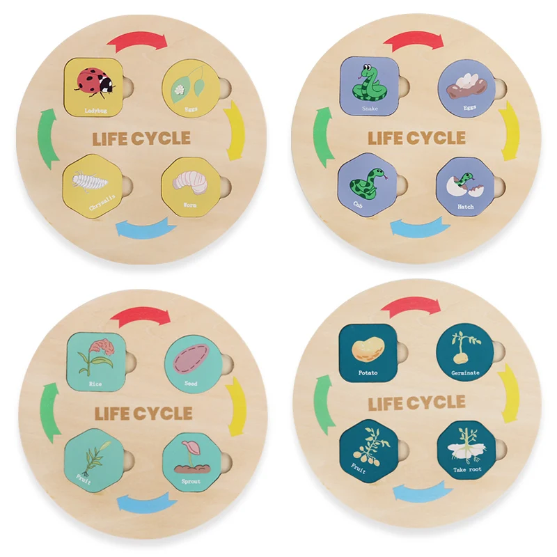 Life Cycle Board Montessori Kit Biology Science Education For Kids Sensory Tray Animal Figure Life Cycle Sorting Christmas Gift