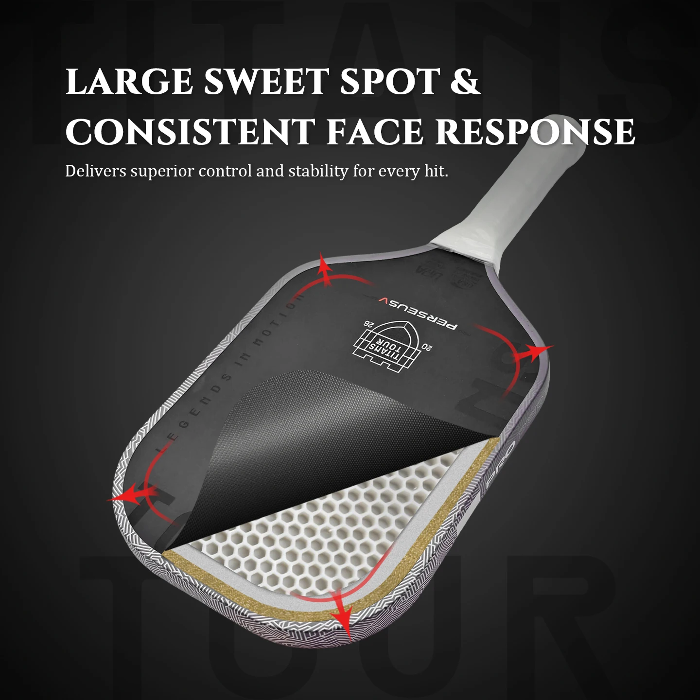 Pickleball Paddle Sandblasted High Friction Face T700 Carbon Fiber PP Honeycomb Core Lightweight Control Racket for Training
