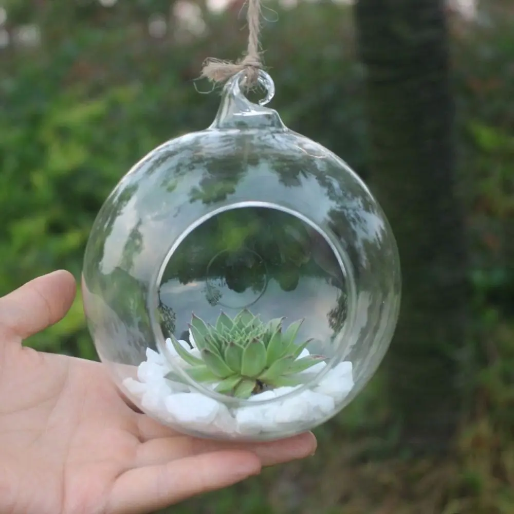 6/8/10/12/15cm Hanging Glass Vase Micro Landscape Ecological Vase Succulent Plant Vase Clear Circular Glass Bottle Wedding Decor