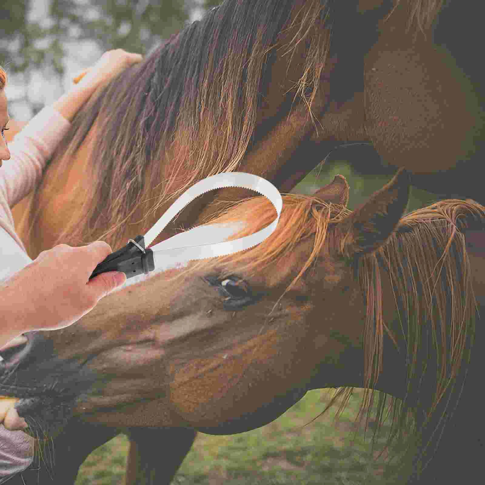 Spazzola per crine di cavallo in acciaio inossidabile Spazzola per raschietto per capannone durevole di alta qualità Strumento per toelettatura (colore casuale) Spazzola per raschietto per cavallo