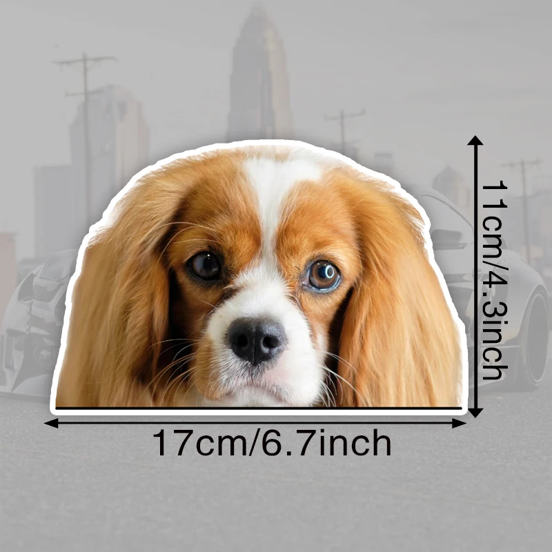 17x11cm Cavalier King Charles Spaniel Car Stickers Waterproof Vinyl Decal For Truck Motorcycle Scooter Auto Accessories