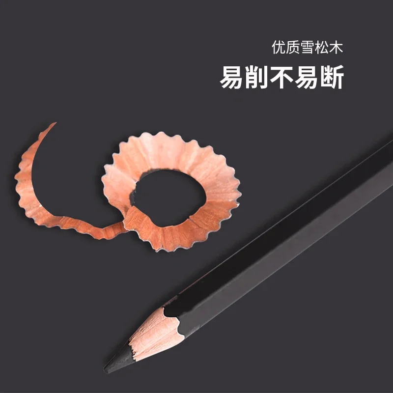 Professional Charcoal Pencils Drawing Set -10 Pieces Soft, Medium and Hard for Drawing, Sketching, Shading, Beginner Artists