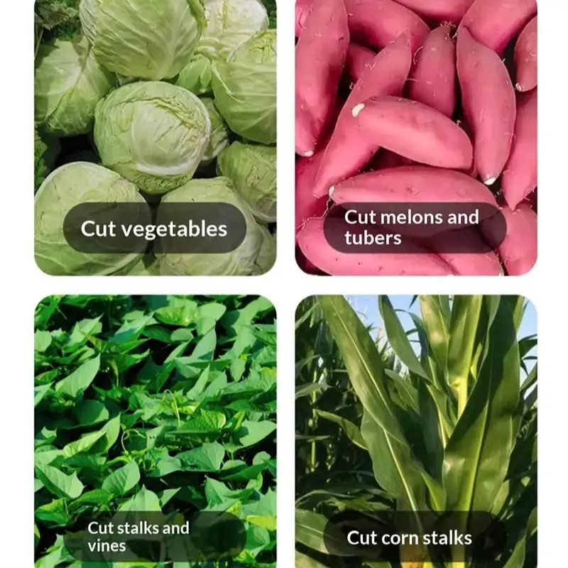 

Stainless Steel Multifunctional Electric Parsley Potato Onion Vegetable Okra Cutter Leaf Vegetable Spinach Cutting Machine