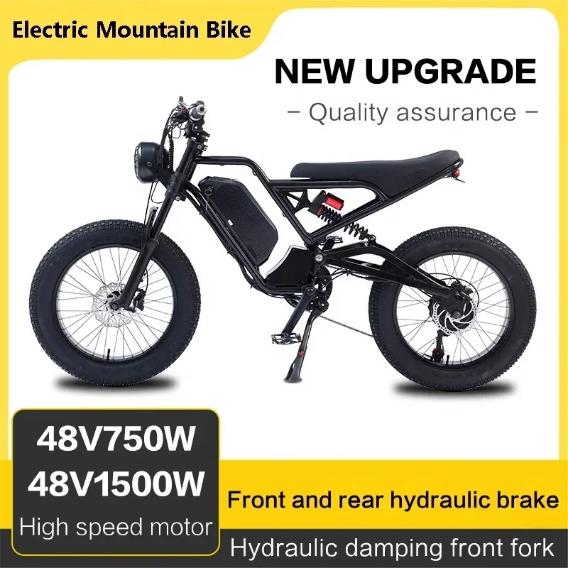 Fast Speed Cafe Racer 20 Inch 750W Electric Mountain Dirt Sport Fat Bike Ebike Electrical motorcycles Full Suspension