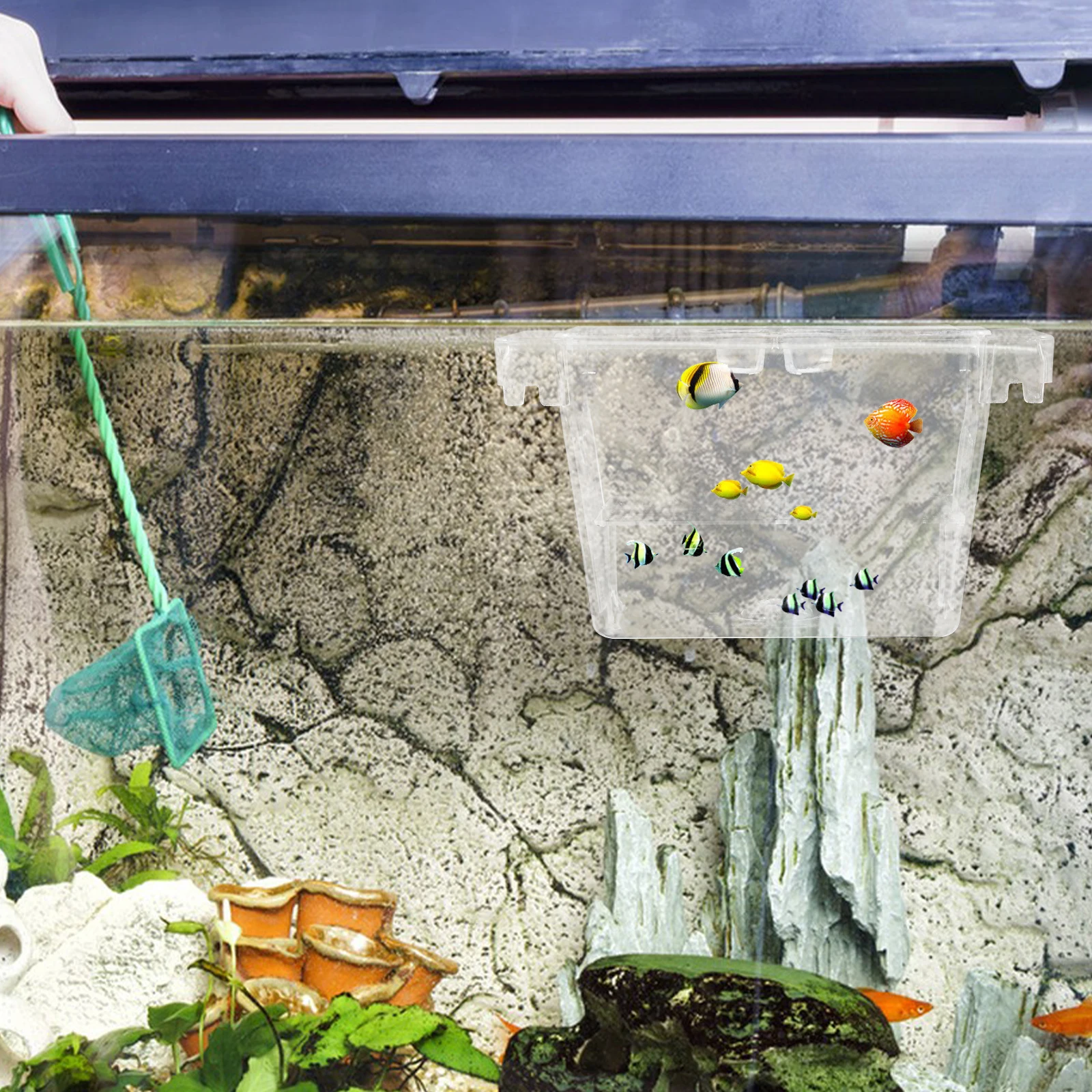 

Incubation Box Fish Breeding Tanks Isolation Case Acrylic Nursery Small Plastic Baby Fry Shrimp Betta Separator Aquarium Tank