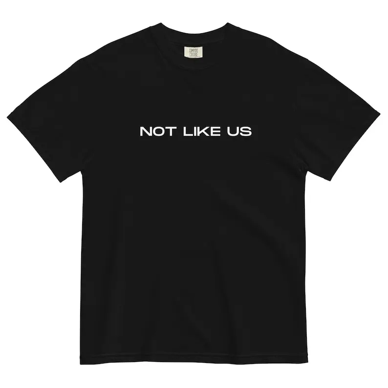 

Kendrick Lamar Not Like Us Heavyweight T-Shirt