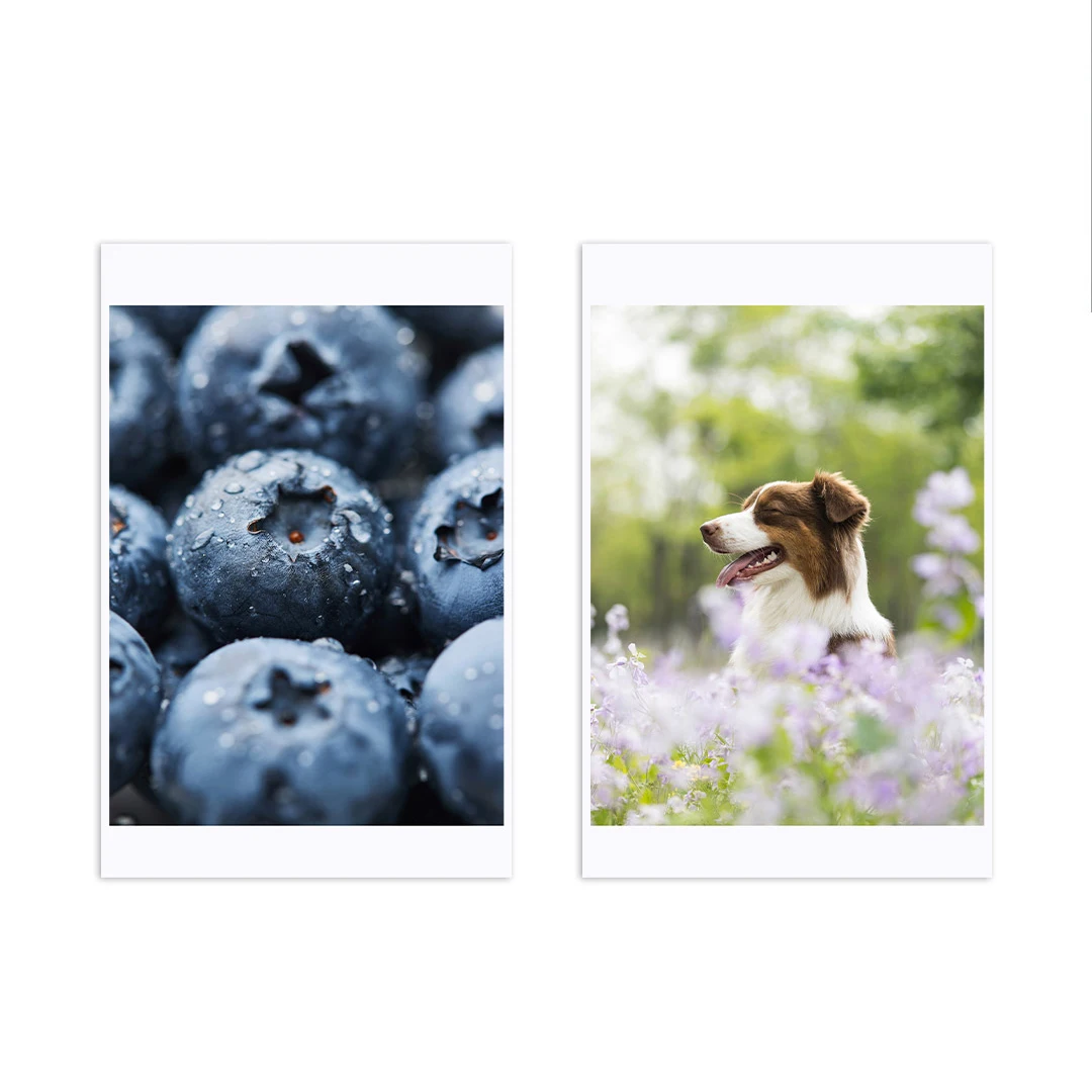 Original mijia Portable Dye-Sublimation Photo Paper/Self-adhesive Stickers 50 Sheets for Mijia Pocket Photo Printer Pro view 6