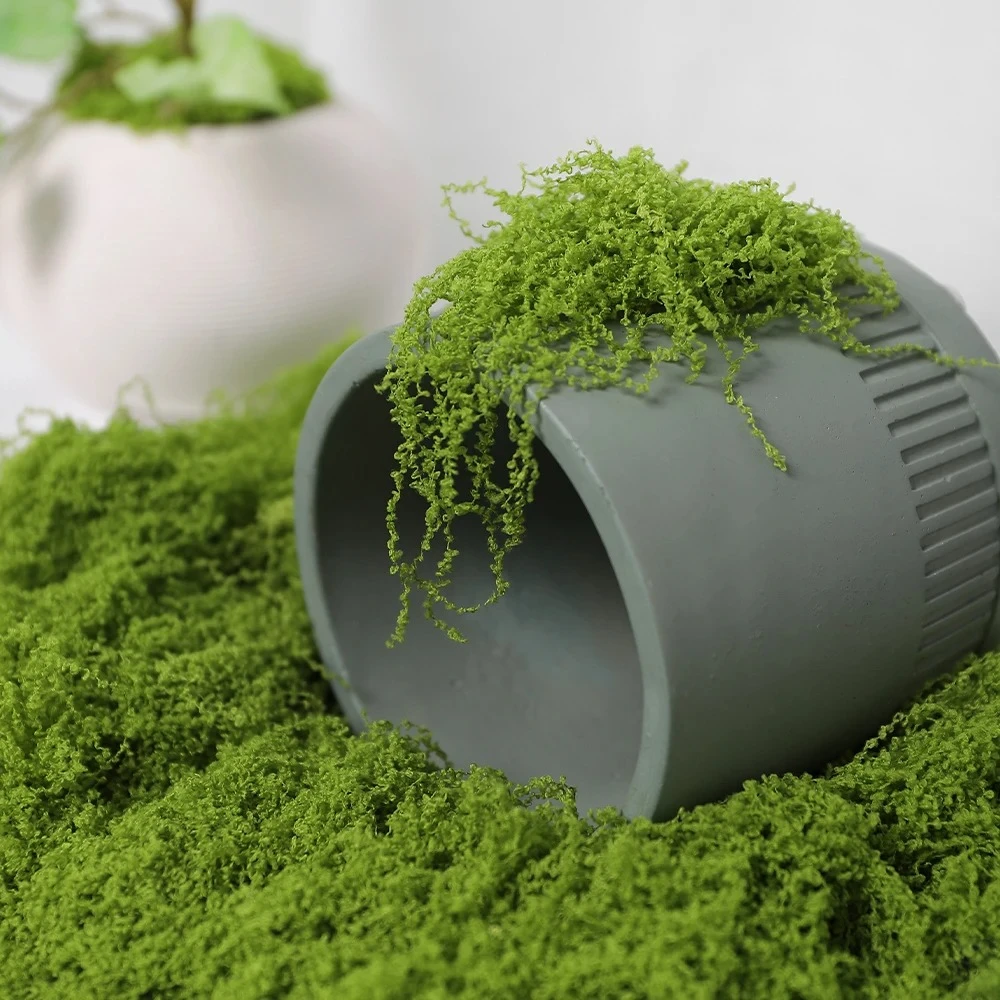 Preserved Moss Sheet - 30/50/100g Künstliche Grünpflanzen Moos Gras Hause