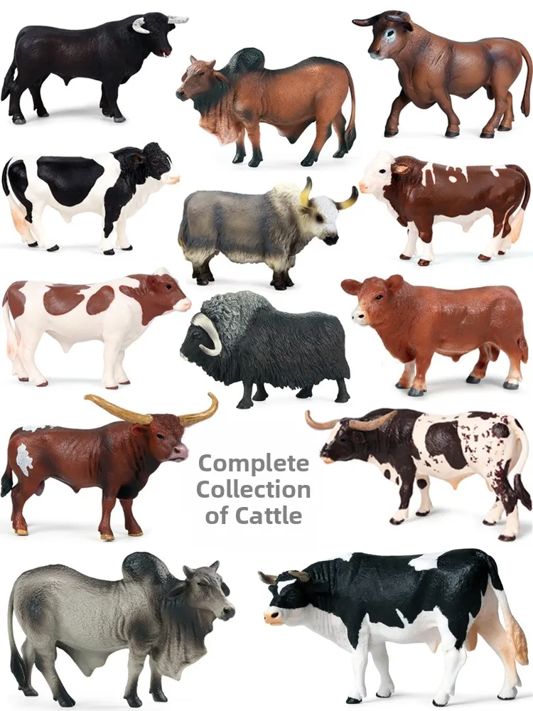 Reatic Animal Model…