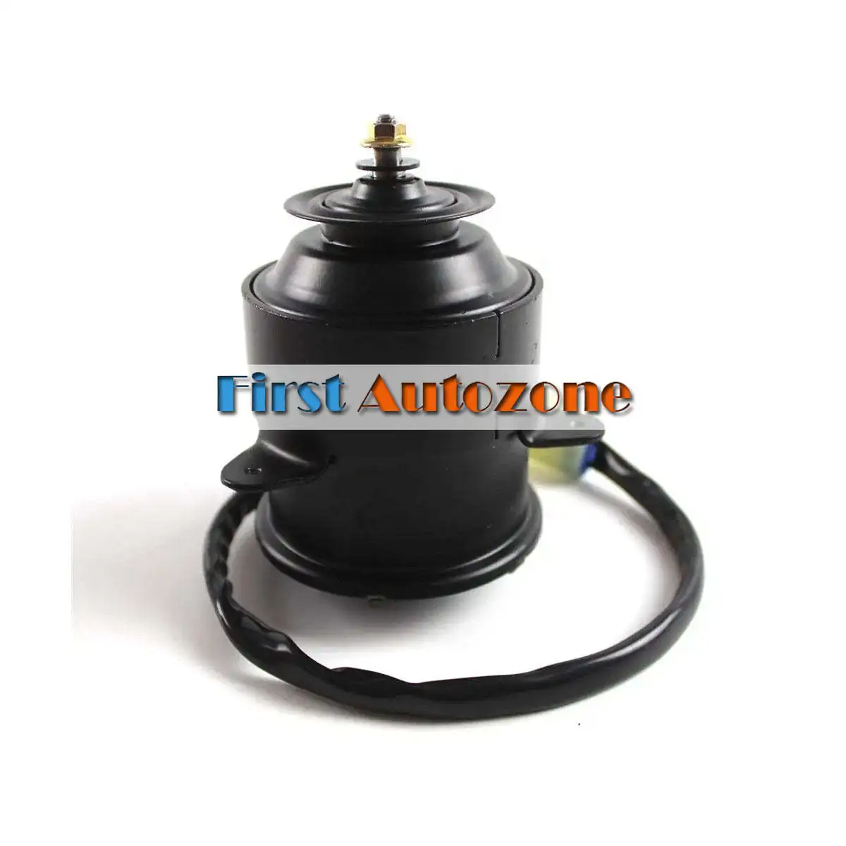 Рисунок 2 - Двигатель вентилятора кондиционера