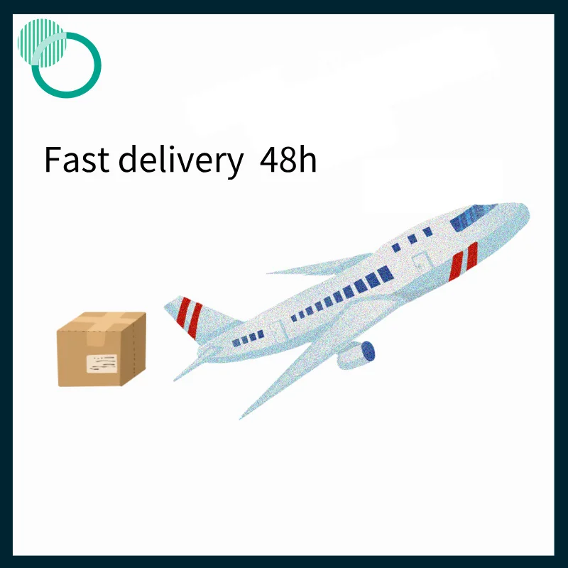 100set Dental Molar Tooth Crown Stainless Steel for Kid Preformed Metal Crown Dentistry Supply Enlace Exclusivo