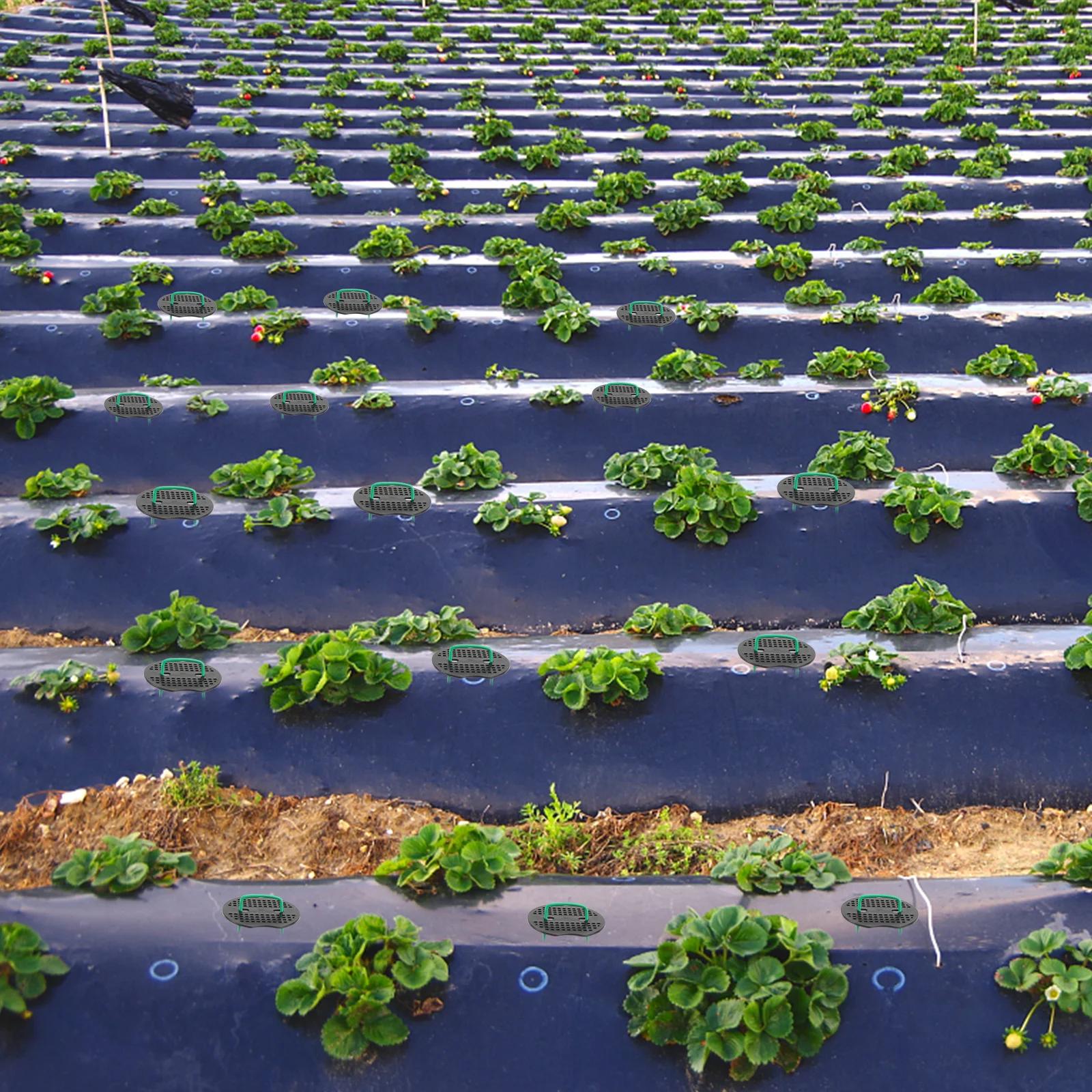 

1 комплект садовых кольев, оцинкованные U-образные наземные колышки, легкие оцинкованные стальные прочные уличные палатки, навес, брезент, ландшафтный дизайн