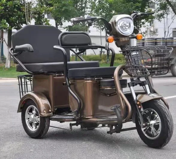 Fashionable 500W  Electric Tricycle