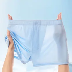 Pantaloni a freccia in seta di ghiaccio da uomo Sexy di grandi dimensioni pantaloncini Boxer lisci senza cuciture tronchi mutande estive biancheria intima comoda allentata sottile