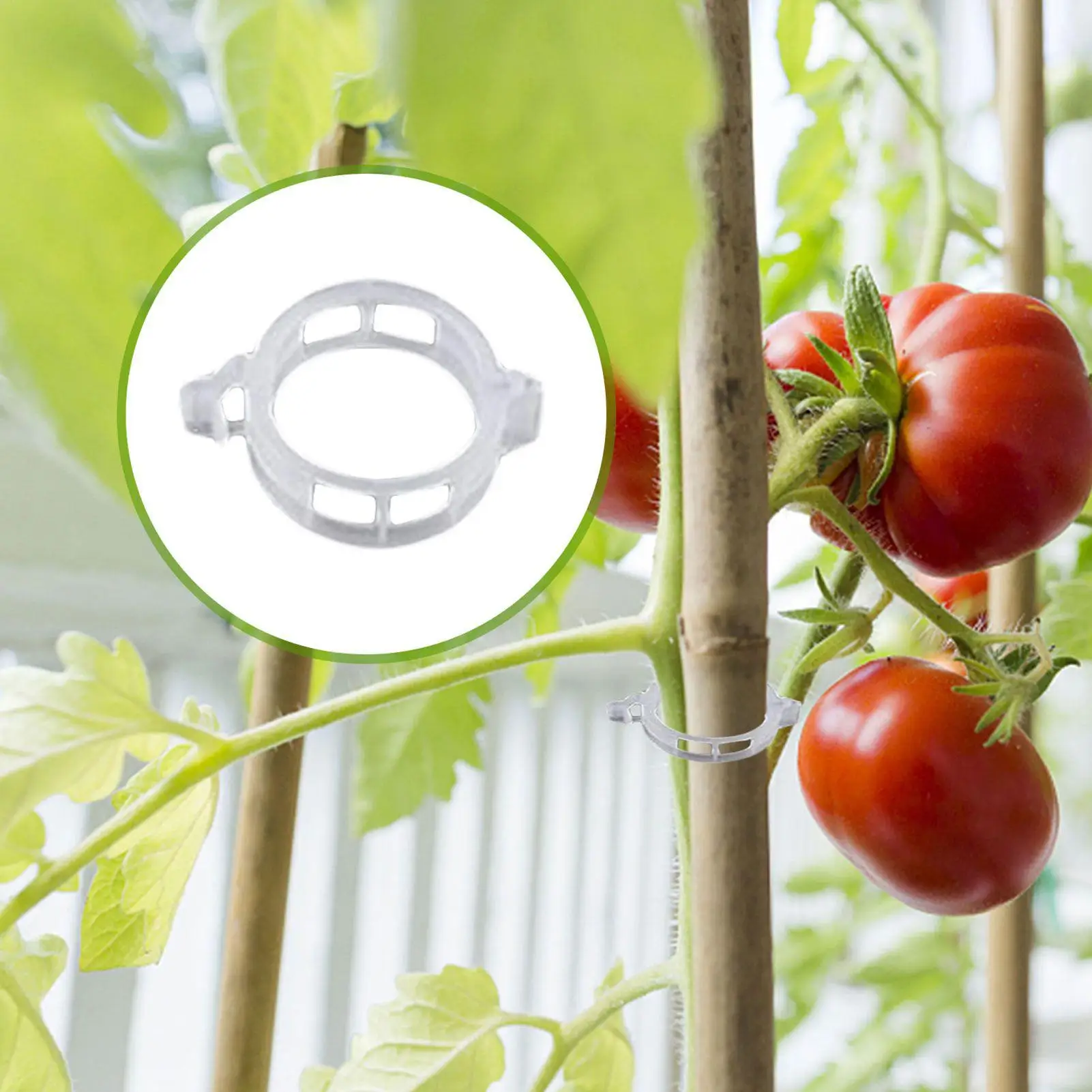 Tomato Vine Hooks Tomato Support Hooks With String 40 Pieces Stem Fixing Holder With 40 Clips For Eggplant Watermelon Pepper