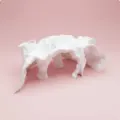White-M