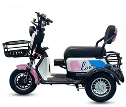 New Electric Tricycle Home Pick-up and Drop-off Mini Small Elderly Power Electric Scooter