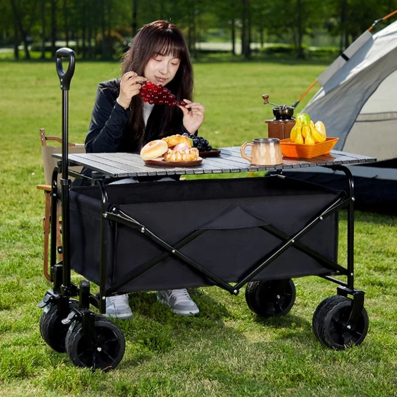 New Design Outdoor Camping Beach Wagon Cart Portable Kids Trolley