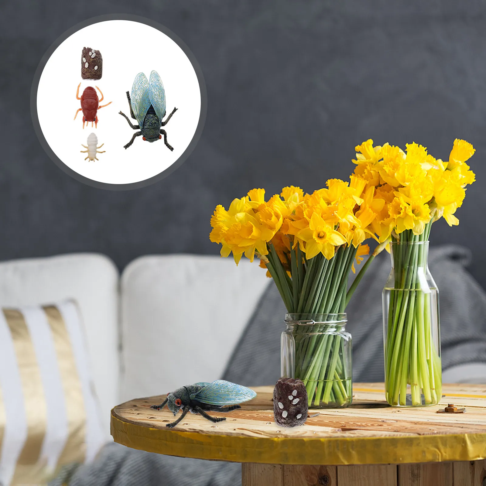 1Set Cicada Growth Cycle Simulation Ornaments Educational Display for Kids Learning Enlightenment Decorative Collection