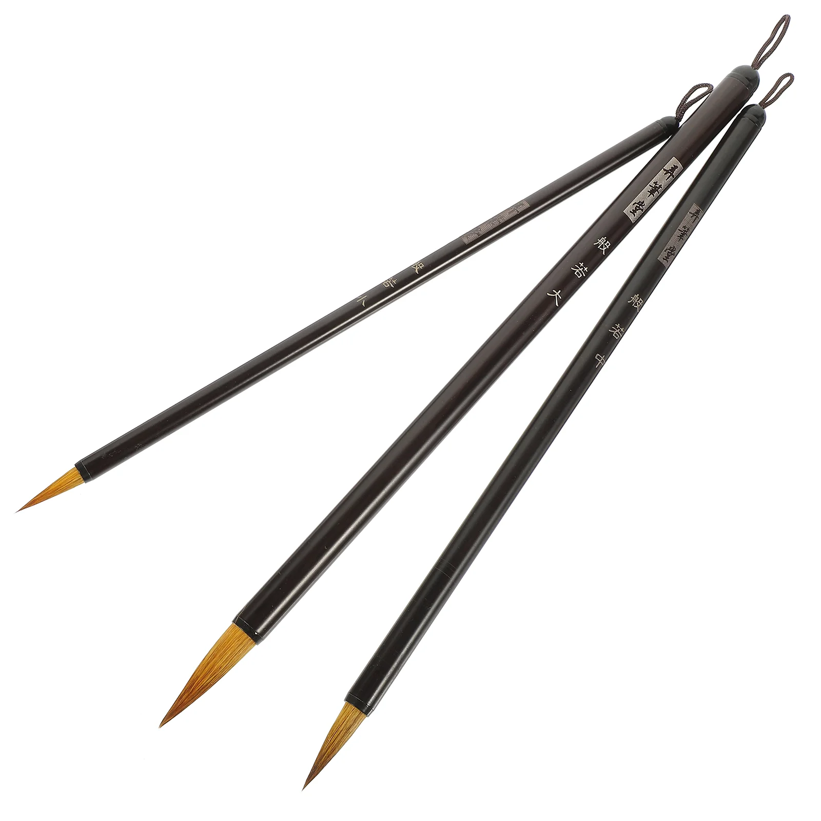 3Pcs Brush Pen Fine Tip Painting Brush Chinese Calligraphy Brush Portable Painting Brush for