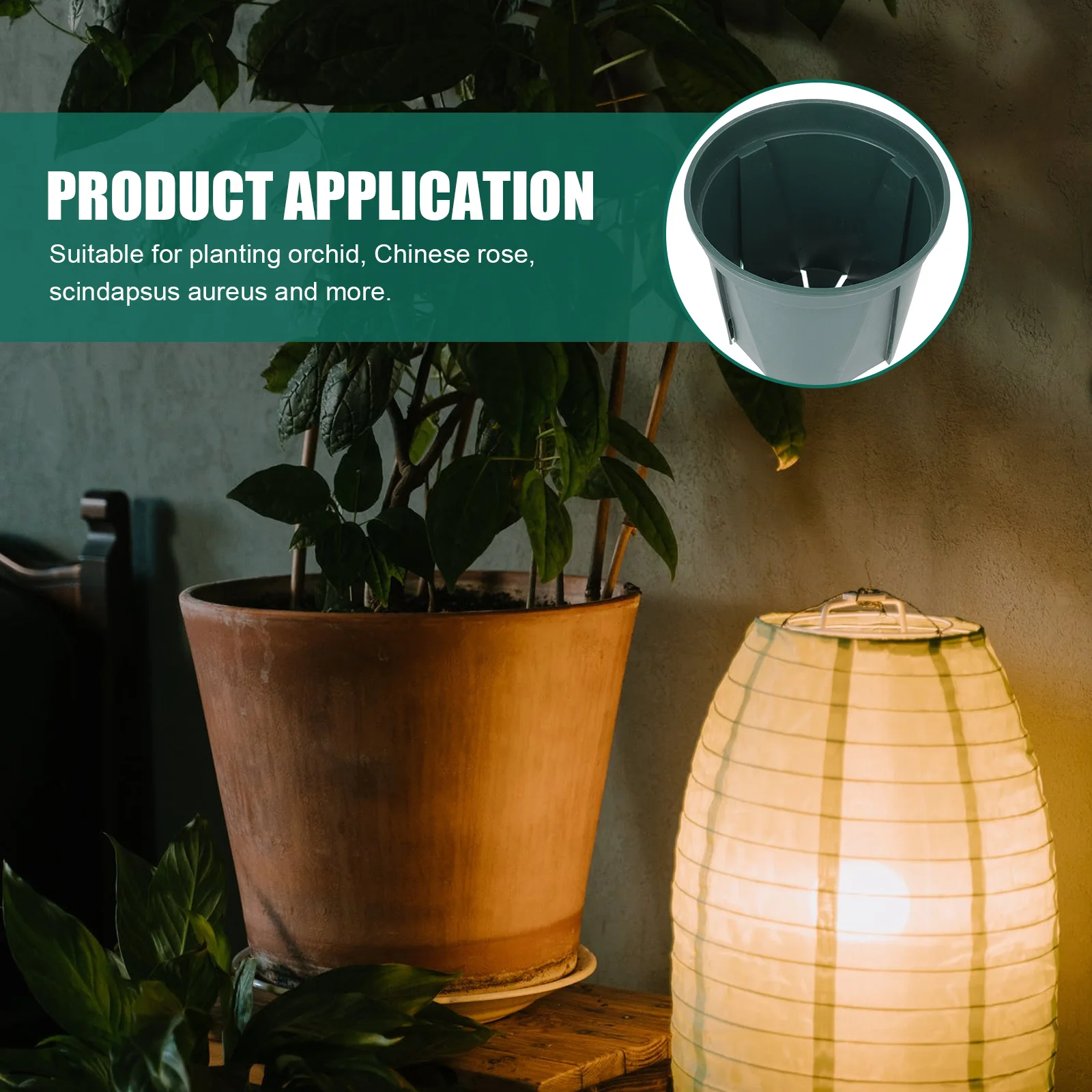 

5Pcs Root Control Planters Plastic Round Flowerpots for Orchid Chinese Rose Indoor Air Permeable Garden Planting Pots Nursery