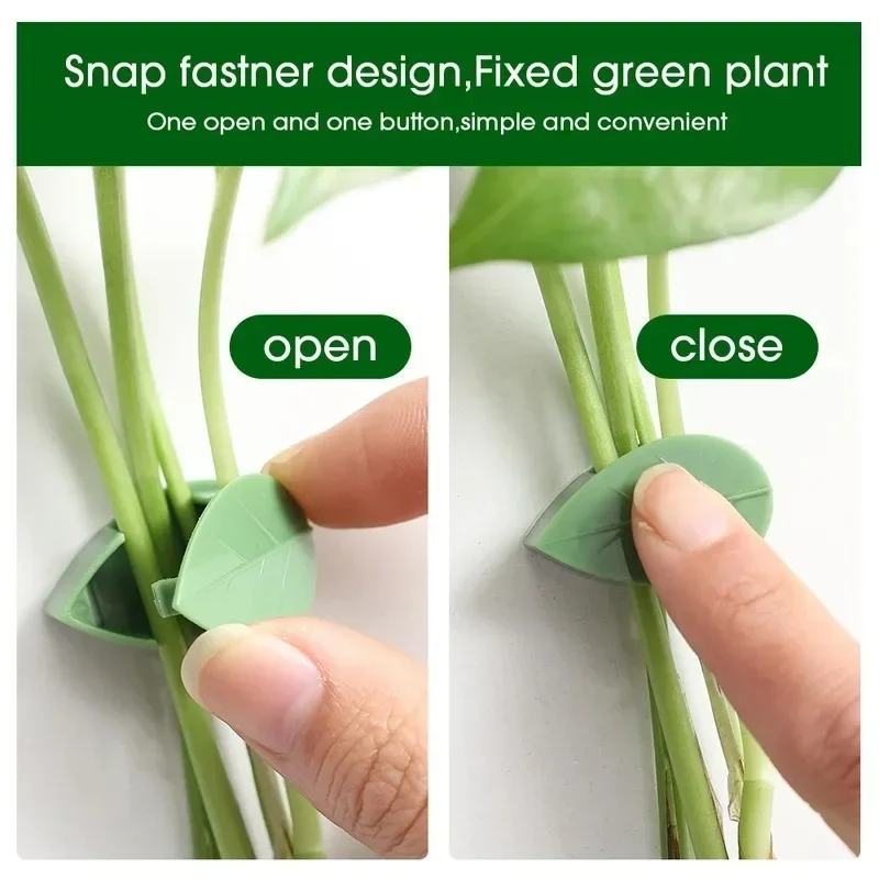 50/10 PCS Green Plant Fixator Rattan Vine Fixed Buckle Leaf Clips Wire Organizer Household Non-trace Climbing Wall Line Device