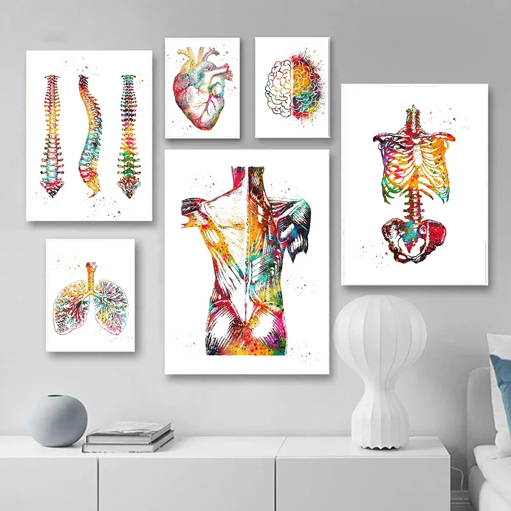 Home Human Anatomy Muscles System Wall Art Canvas Painting Posters And Prints Body Map Wall Pictures Medical Education