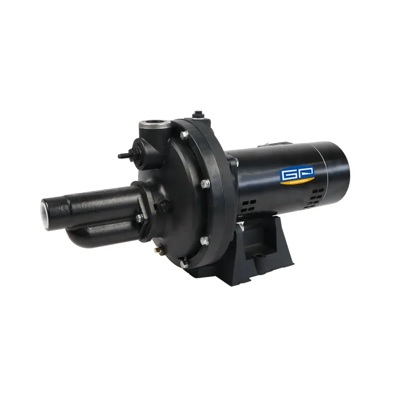 GP Enterprises Made Thermoplastic 115V/230V 1/2 HP Max Water Depth 70' Cast Iron Convertible Deep Well Jet Pump