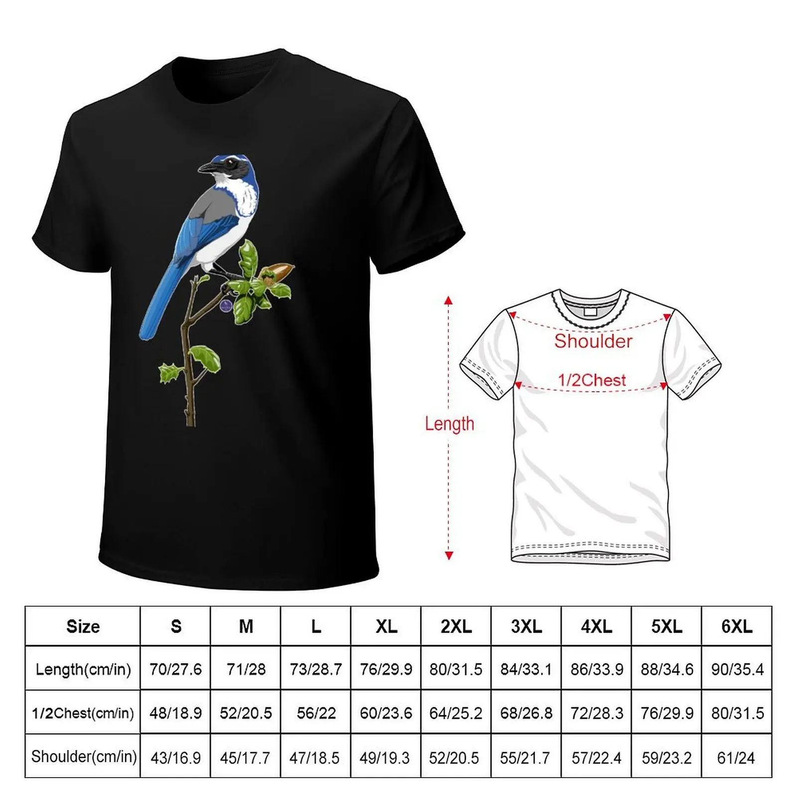 California Scrub-Jay T-Shirt Lightweight Gym Training T-Shirt