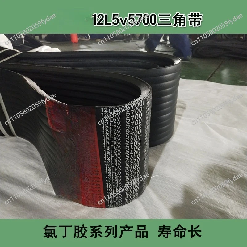12L5V5700 V-belt, Neoprene 12? Coupling 5V5700