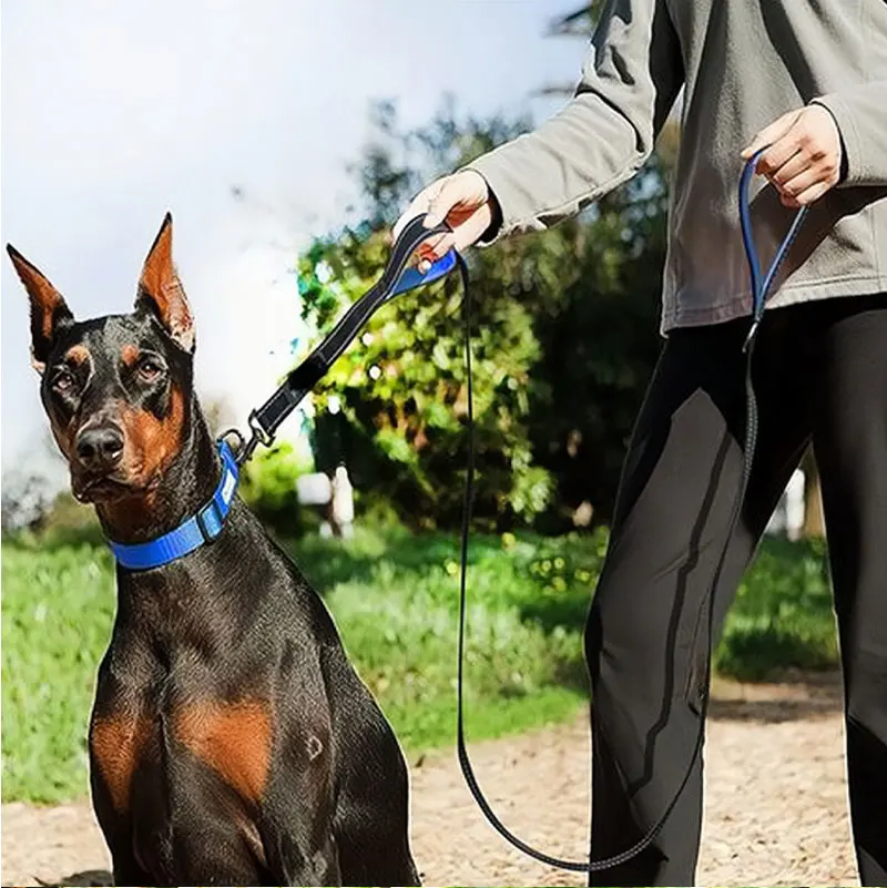 Lange, gepolsterte Hundeleine aus strapazierfähigem Nylon mit zwei Griffen für Training und Kontrolle, doppelseitig reflektierend für nächtliche Sicherheit – Detail 8