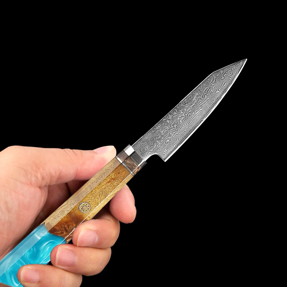 

Japanese Damascus Steel Paring Knife 3.5 Inch Sharp Professional Fruit Peeling Knife For slicing fish, meat, fruit and steak