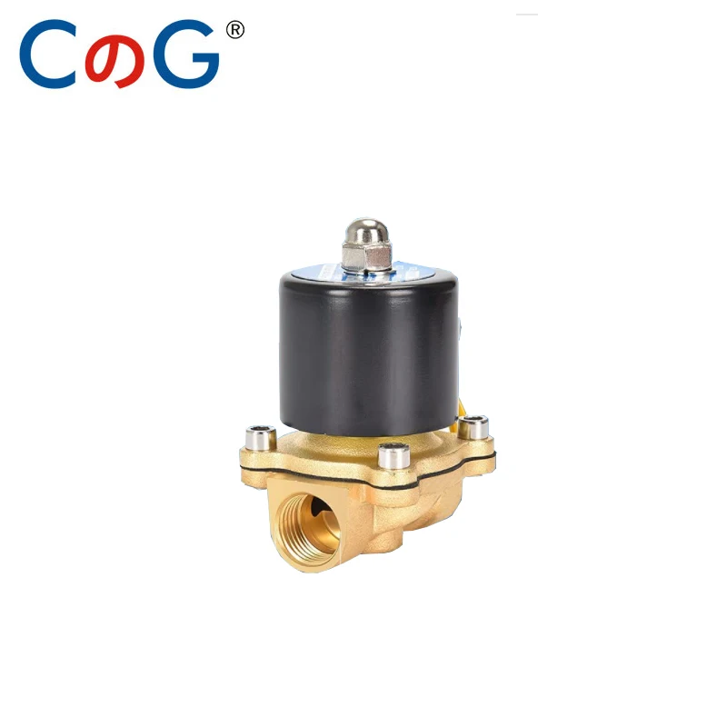 CG Brass Electric Solenoid Valve 1/4