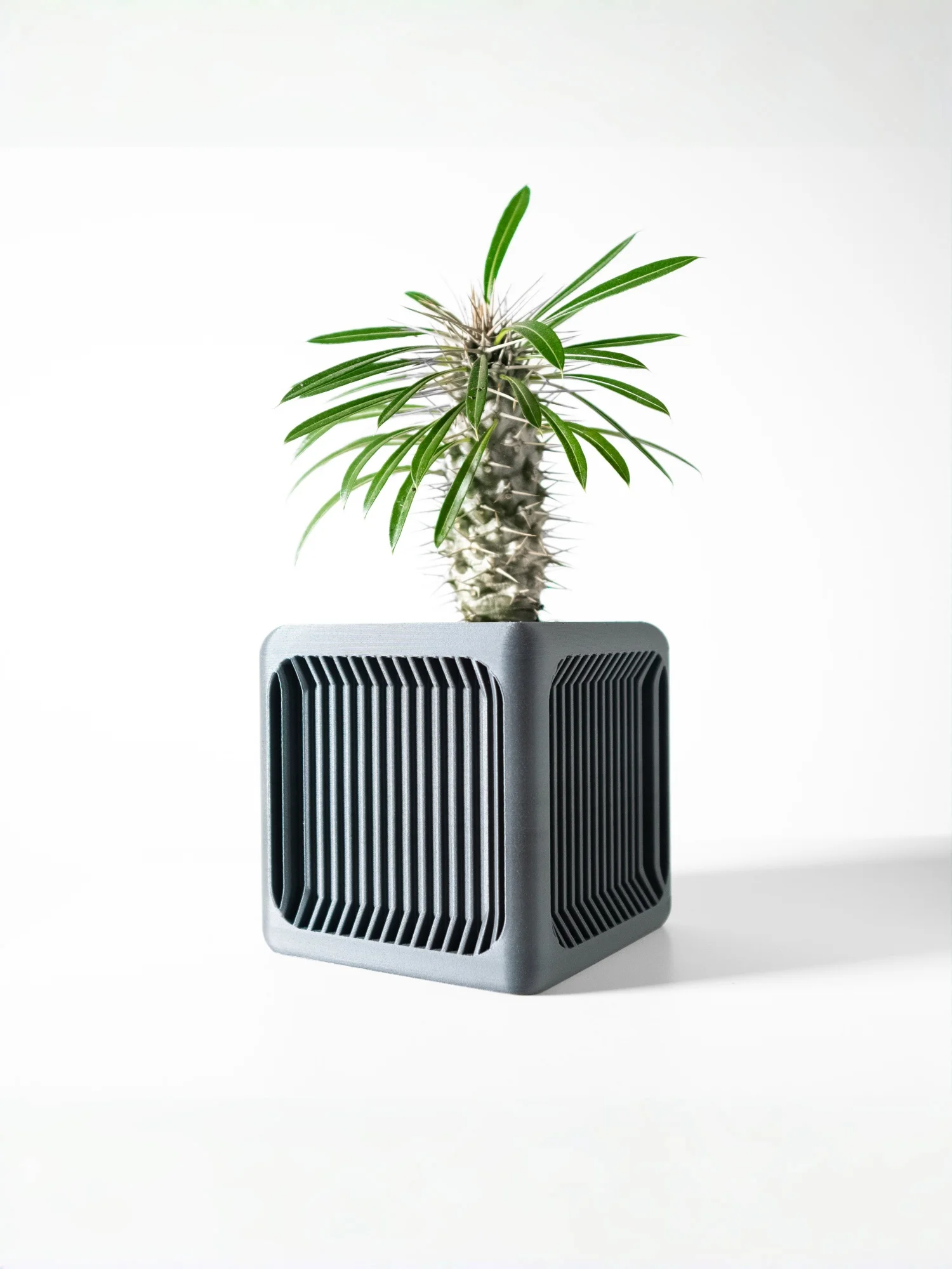 

3D-Printed Flower Pots Biodegradable Home Decor Planters Square Planters Desktop Flower Pots Gift Ornaments for Your Wife