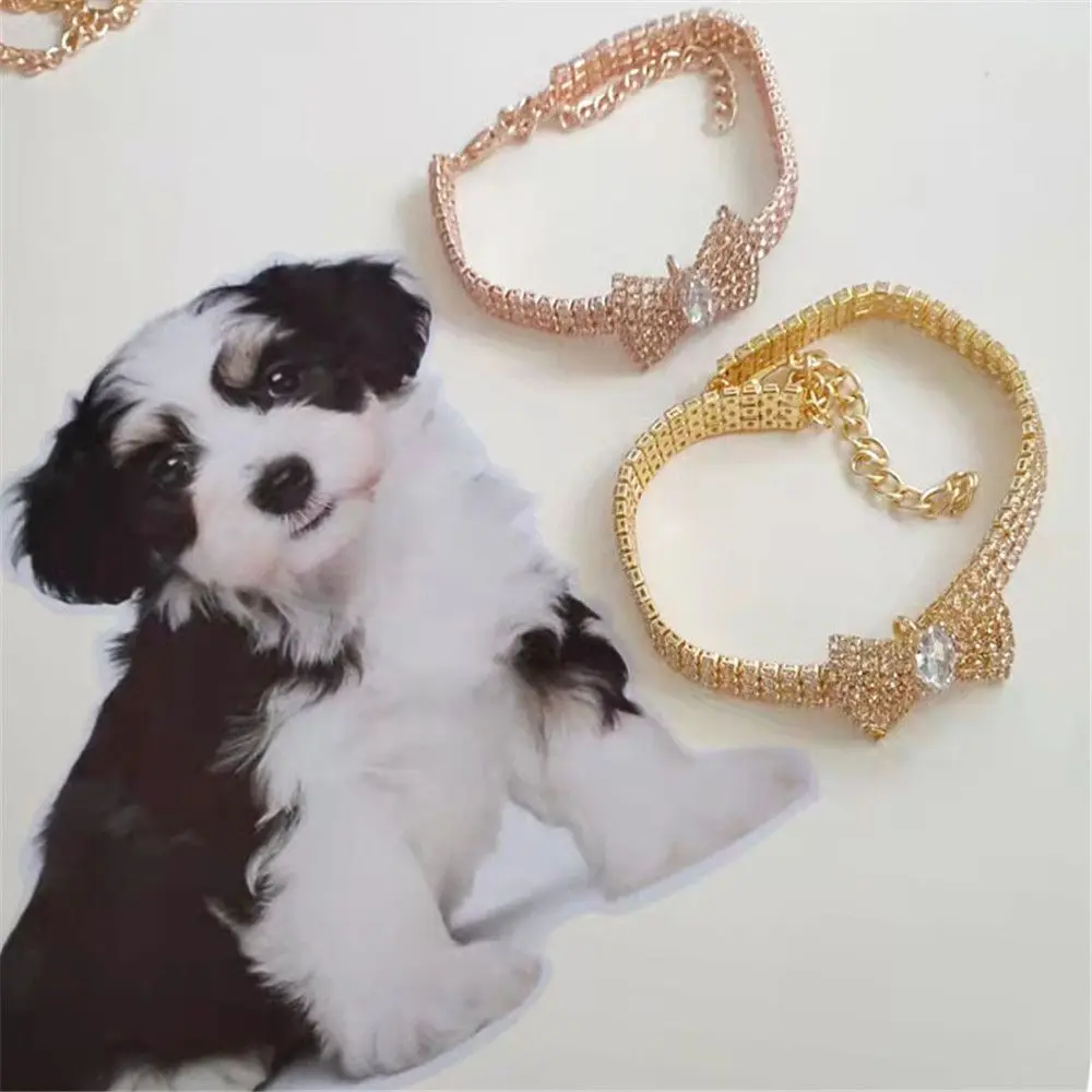 Collier de chiot avec nœud papillon pour petits animaux, bijoux pour animaux de compagnie, collier de chat en biscuits, produits pour animaux de