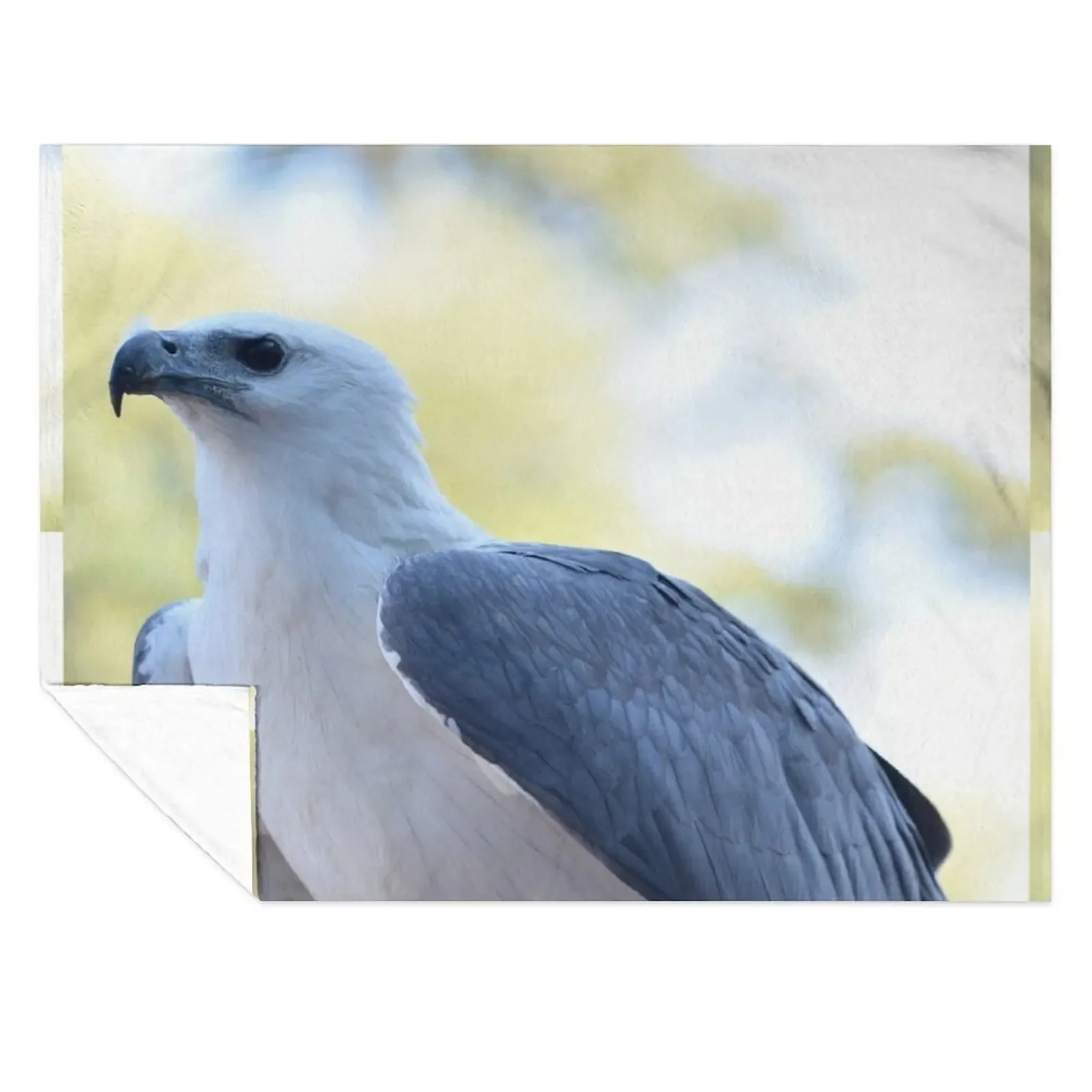 

Maraki, Whiteabellied Sea-Eagle Throw Blanket Comforter Soft Plush Plaid Custom Personalized Gift Blankets