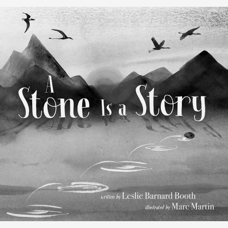 Marc MartinA Stone Is A Story Marc Martin Simon  Schuster 9781534496941 Book