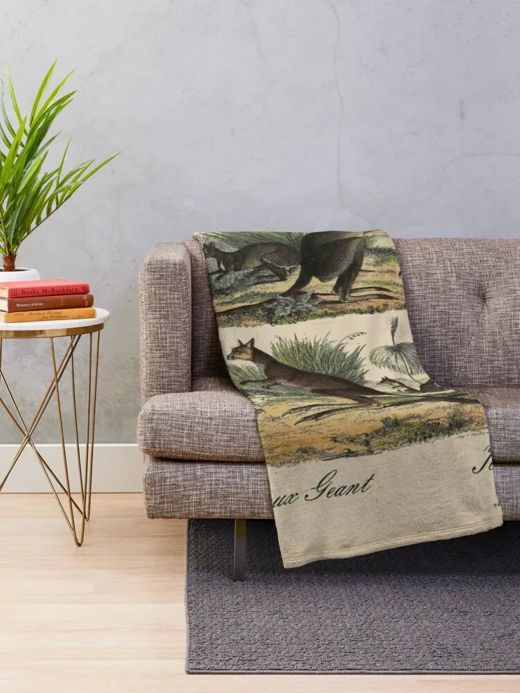 KANGAROO : Vintage 1854 Comte Print Throw Blanket Warm Quilt Blankets For Bed Blankets