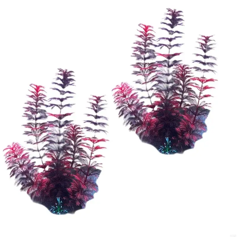 92MF Аквариумы.