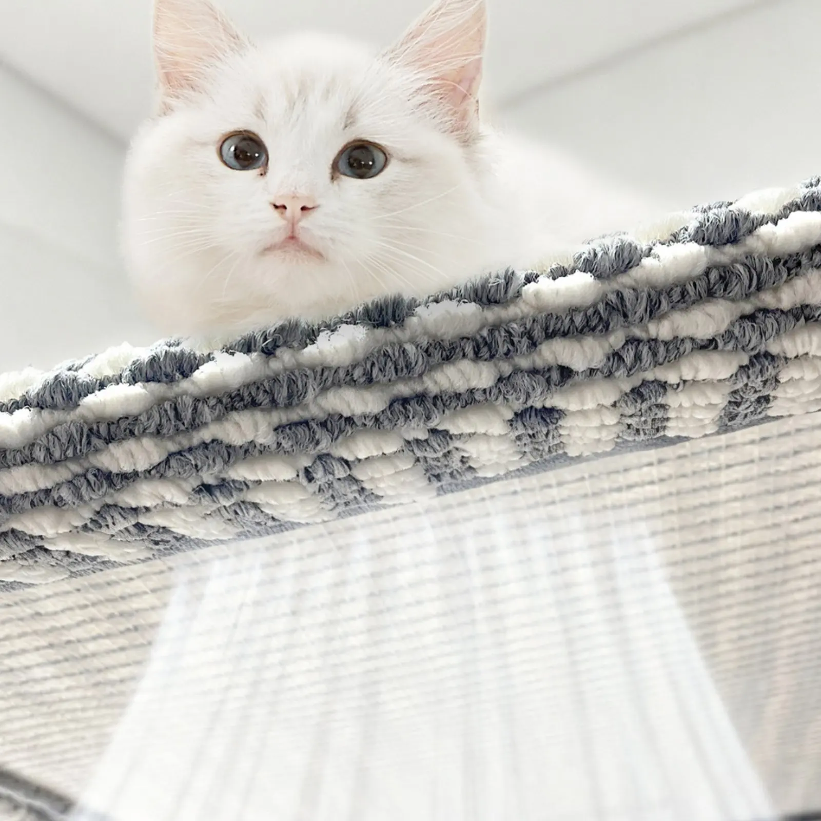 

Washable Raised Dog Bed Removable Cover Washable Dog Cot Raised Pet Cot Easy Clean Breathable Mesh Pet Bed Long-Lasting