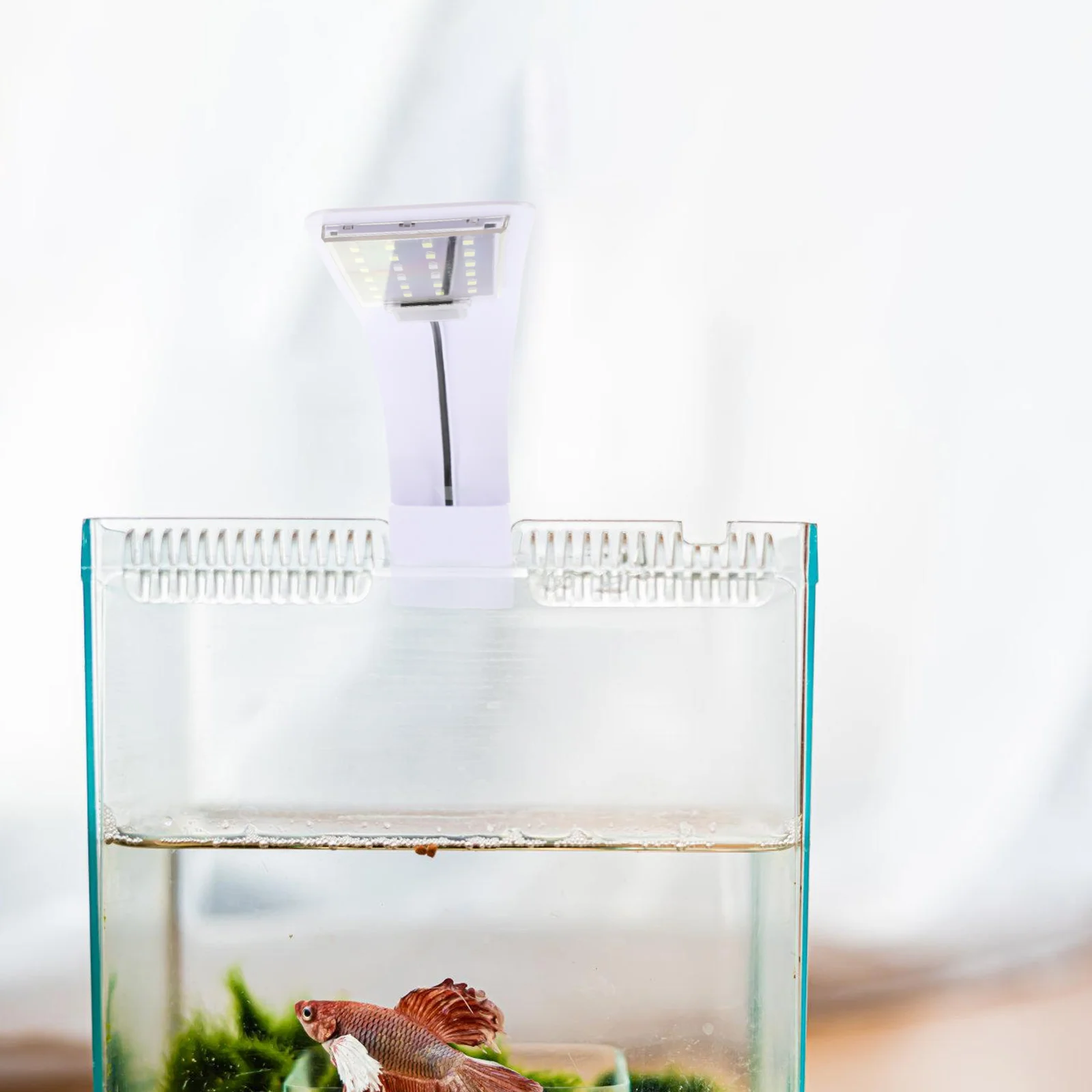 

LED Aquarium Light Fish Tank Clip Lamp High Brightness for Aquatic Plant Growth Fish Tank Decor Lamp Us Plug LED Aquarium Light