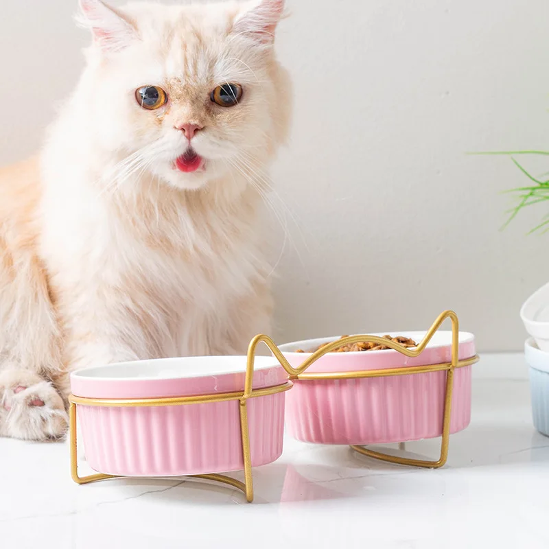 Cat Bowl Ceramic Double Bowl Water Bowl Protects Cervical Vertebrae. Cat Food Bowl Drinking Bowl Pet Bowl Diagonal Food Basin