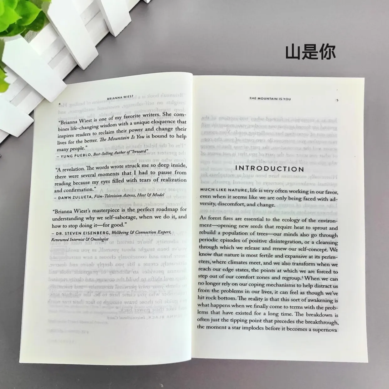 The Mountain Is You: Transforming Self-Sabotage Into Self-mastery English Books