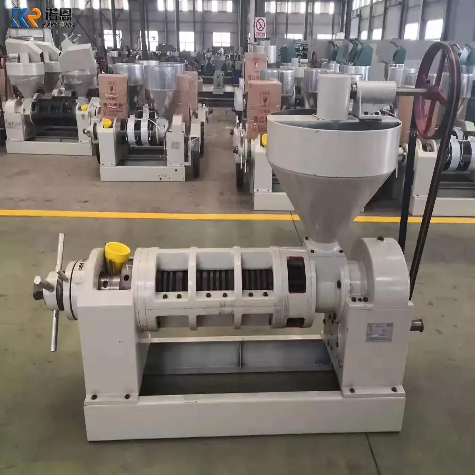 Macchina per l'olio di palma Copra Mustard per realizzare olio da cucina Macchina per l'estrazione dell'olio vegetale Macchina per l'estrazione dell'olio di cocco