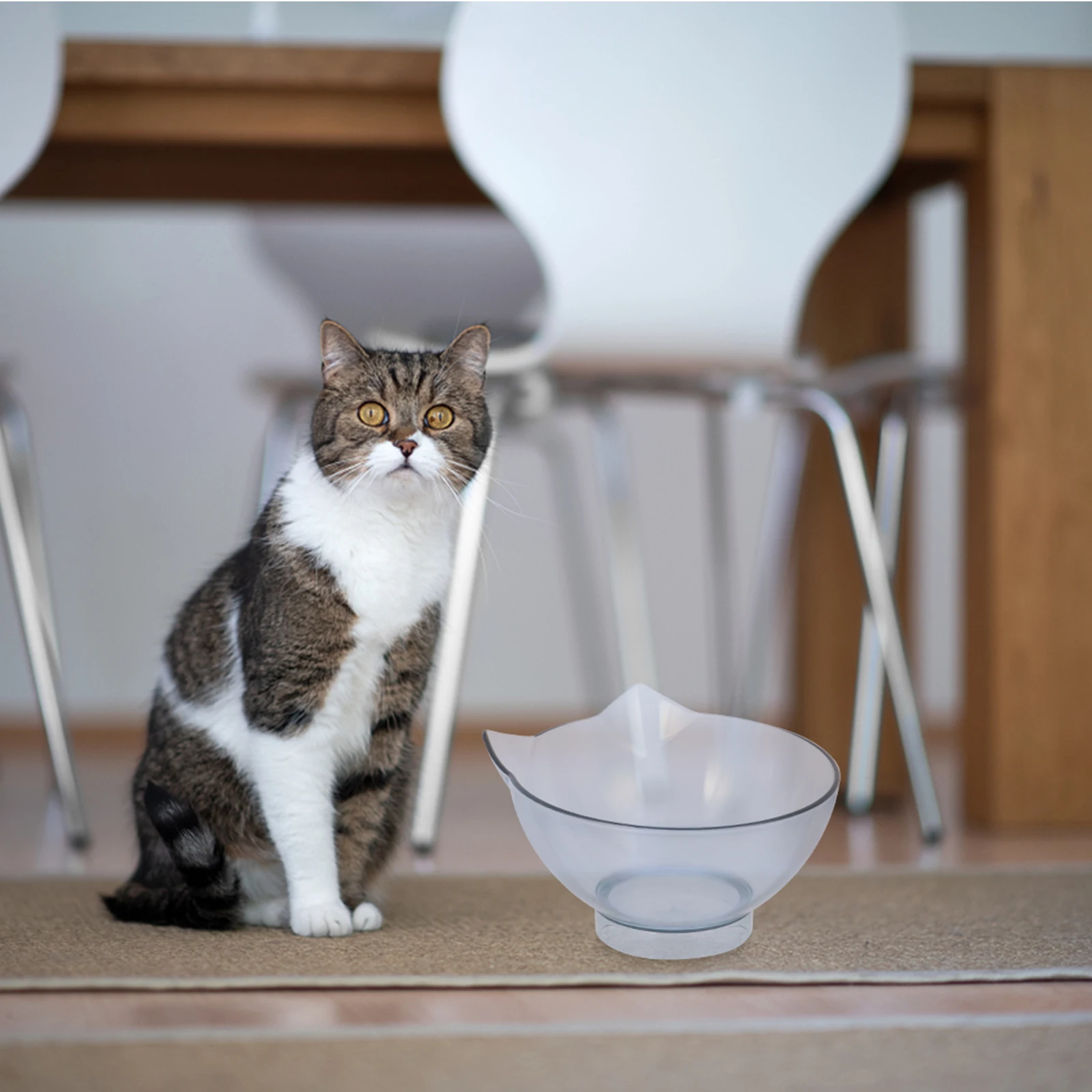

Transparent Anti-turn Feeder Elevated Cat Plastic Pet Bowl Bowl Kitten Dish Food Water Container Long Term Use