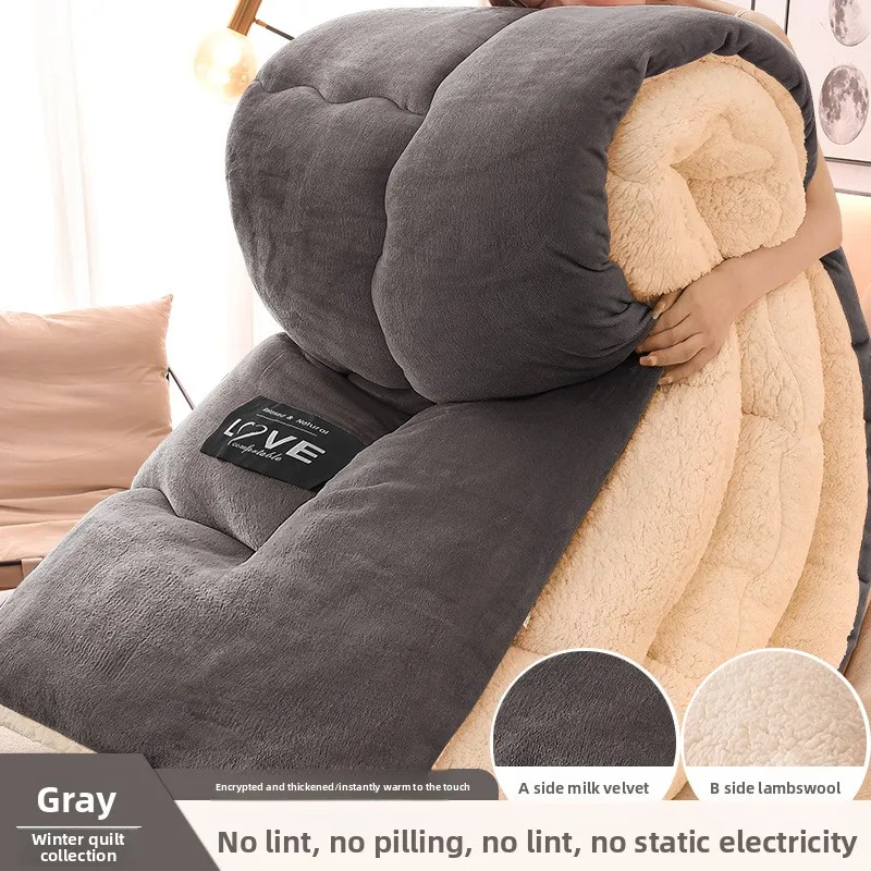 Winter Thickened Warmth Quilt Bedding Dormitory Single Bed Thickened Spring and Autumn Quilt Winter Quilt Thickening