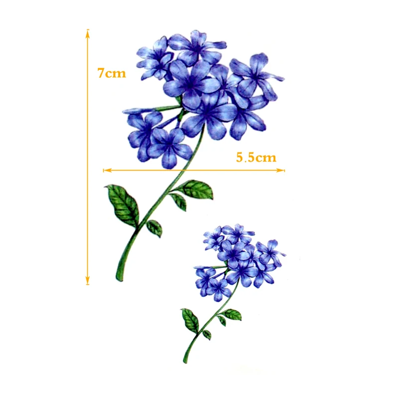 Plumbago Auriculata Flower Waterproof Temporary Tattoo Stickers Body Art Henna Tattoo sticker Fake Tatoo  Women