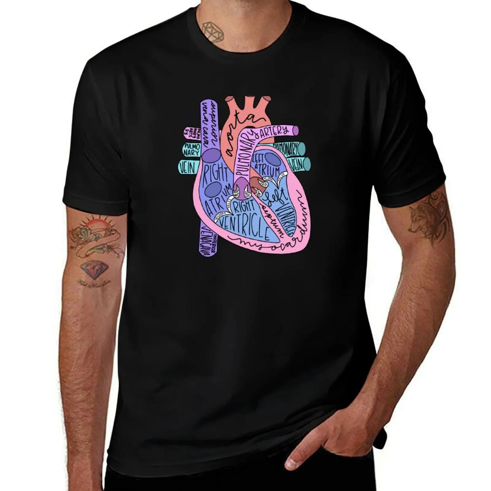 Heart Anatomy T-shirt, Cardiac Nursing Gift, Nursing School Shirt Heart Anatomical T-Shirt Soft Basic Cotton Short Sleeve Tee